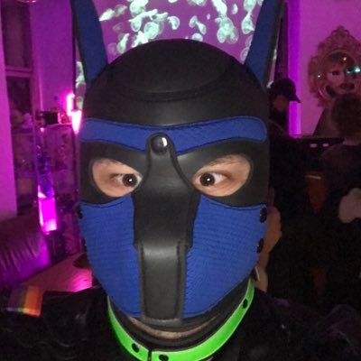 he/him - Gay puppy from Austria - taken