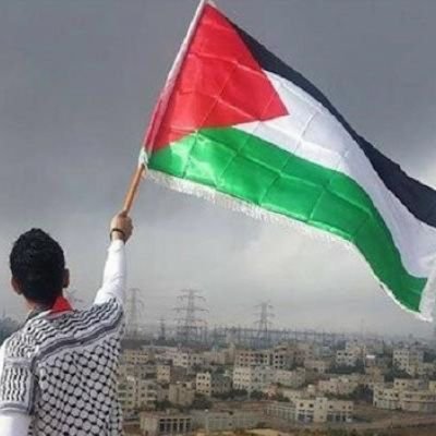 اللهم انصر اخواننا في فلسطين اللهم ارفع عنهم البلاء يارب لطفك بهم اللهم عليك بالصهاينه الظالمين وحسبنا الله ونعم الوكيل