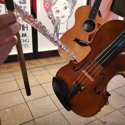 名古屋市で活動中のアイリッシュ音楽のサークルです！🎻