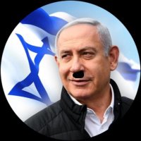 Benjamin Netanyahu - בנימין נתניהו parody(@netanyahupress) 's Twitter Profile Photo