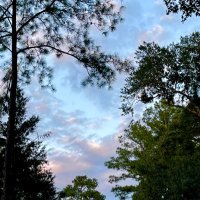 s🫧 (@aa7_cc2) 's Twitter Profile Photo