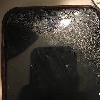 CarlosD56410363's profile picture. 