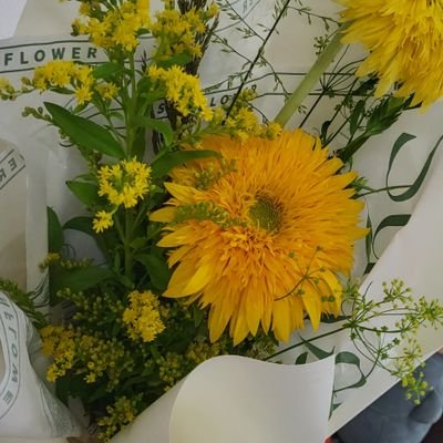 potatobbang_'s profile picture. 