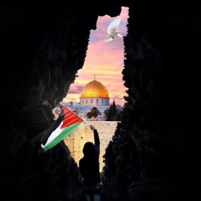 حساب يدعم تحرر كل شبر من ارض فلسطين .. مقاومه الاحتلال ليست ارهابا اعادة تغريد للحسابات التي تنشر عن المجازر والجرائم الصهيونية في غزة .. فلسطين حرة.