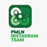 PMLN Team Instagram(@PmlnTeamInsta) 's Twitter Profile Photo