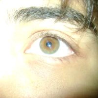 Sinuois (@sinuois) 's Twitter Profile Photo