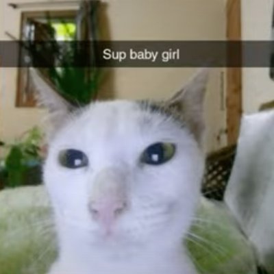 fernandoelplano's profile picture. 