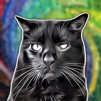 ConflictCat(@RealConflictCat) 's Twitter Profile Photo