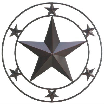 TexansForAction Profile Picture