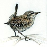 Lynn Bailey (@lynnbaileyprint) 's Twitter Profile Photo Lynn Bailey (@lynnbaileyprint) 's Twitter Profile Photo