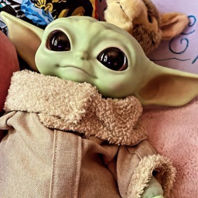 MrPigMrPig's profile picture. 