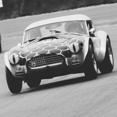 Wolfe2Wolfe's profile picture. 