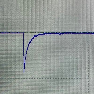 kwangneuro's profile picture. Pharmacology PhD Student @PharmOxford || GABA & Glutamate Receptors || MSci Neuroscience @UCL