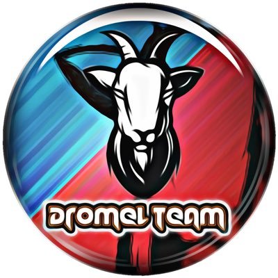 Dromel Team Profile