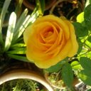 laila abdul latif - @ellalatif65 - Twitter