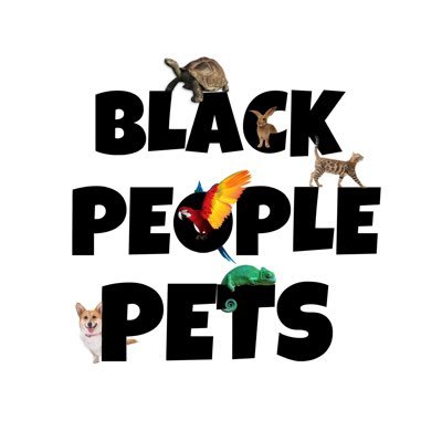 blackpeoplepets Profile Picture