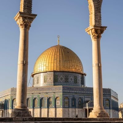 Baha29613201's profile picture. No Girl will choose six pack over six cars .. 💪🏻
So stop going to the gym and Go to work 🚶