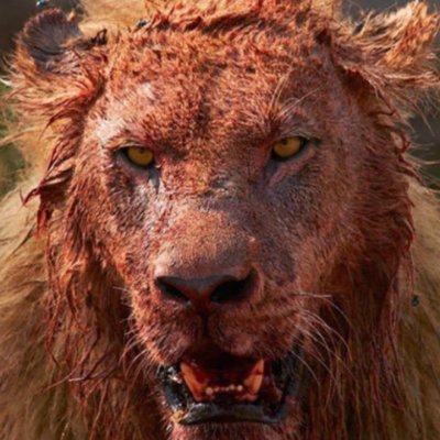 ProcTech13's profile picture. 