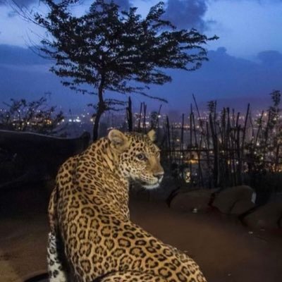 _khuludal Profile Picture