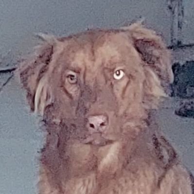 xyzlvsx's profile picture. 