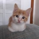 John Bogue - @JohnBogue165676 - Twitter