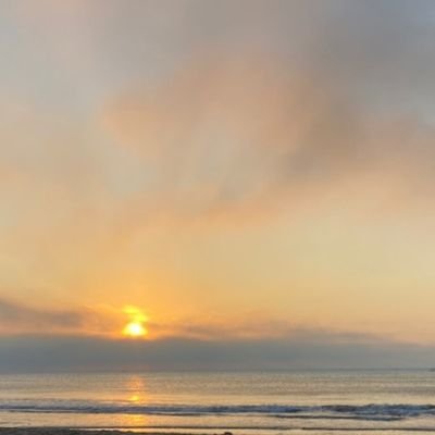 patriciaalenc1's profile picture. 