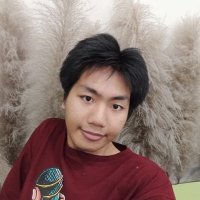 NyanLinMyat (@nyanlinmyat19) 's Twitter Profile