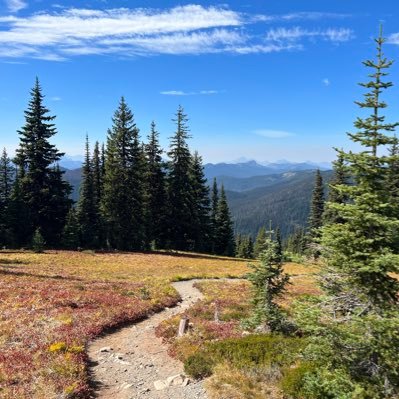 phd, union rep, hockey lover, long-suffering canucks fan (+vgk b/c they are FUN). torontonian on the west coast.