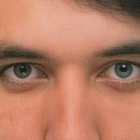Rubén Alonso Beato (@ralonsobeato) 's Twitter Profile