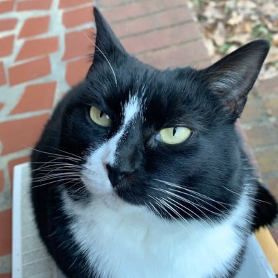 mackoswrld's profile picture. finops