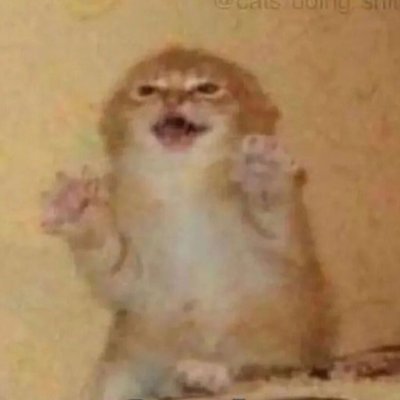 Def0n0tr0se's profile picture. Kock