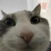 (Aye)ngel (@4flak0) Twitter profile photo (Aye)ngel (@4flak0) Twitter profile photo