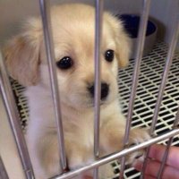 π₯ (@kggcii) 's Twitter Profile