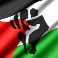 ضیاء_🇵🇸🇵🇰(@ZiaO_1) 's Twitter Profile Photo