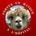 lama agile (@lama_agile) Twitter profile photo lama agile (@lama_agile) Twitter profile photo