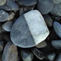 🌺🌻こごめ🎆 (@kogomebosi) Twitter profile photo