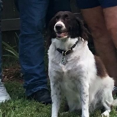 PastorTLClymer's profile picture. Better information leads to better thinking, better thinking leads to a better decision, better decisions lead to a better you