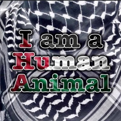 ZnHl78's profile picture. Researcher and Development Consultant, Political Activist.