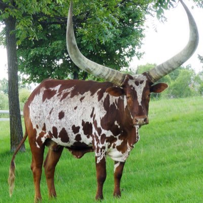 what_simon_sez's profile picture. changing the narrative. Liking, Retweeting and commenting does not mean I endorse nor agree. Just spreading awareness!!