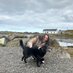 Jessica Sharkey (@jessmsharkey) Twitter profile photo Jessica Sharkey (@jessmsharkey) Twitter profile photo