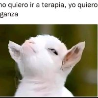 Dulce Liberal 🇦🇷🇧🇷 (@agree_liberal) 's Twitter Profile