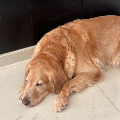 LornaSen's profile picture. El azul desde siempre, prefiero el mar por todo lo que me hace sentir…