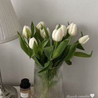 Medusa (@medusa703621) Twitter profile photo