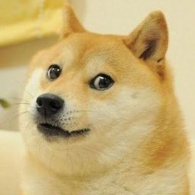 ANuDGsAKzI26989's profile picture. 