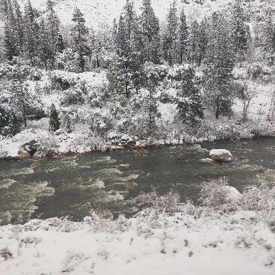 Vanessapaterso6's profile picture. Mother of 4, Nana to 2 boys.