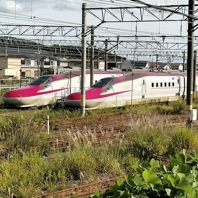 akita_gardmen's profile picture. おいなりさんです。
交通誘導のガードマンをしています😊
趣味はボウリング🎳、カラオケ🎤です。
宜しく。