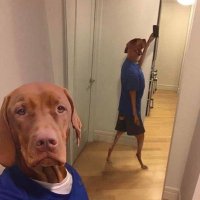 😁 (@nd_falkn) 's Twitter Profile Photo 😁 (@nd_falkn) 's Twitter Profile Photo