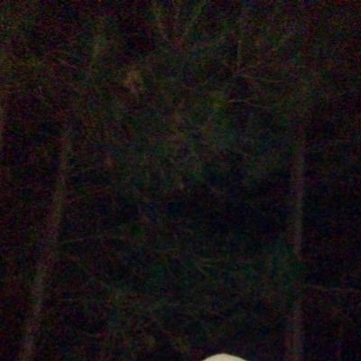 WOLFNINJARED's profile picture. BLACK WOMEN ARE THE PINNACLE OF LIFE, AND THE EPITOME OF BEAUTY!!!