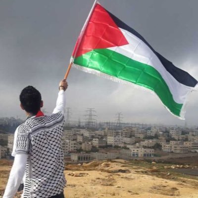 ahmed_ritam's profile picture. 