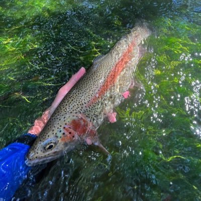 suzuha167267's profile picture. 釣り/アウトドア/カメラ